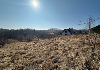 działka na sprzedaż - Stare Bogaczowice, Struga, Kolonia