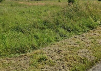 działka na sprzedaż - Chocianów (gw), Szklary Dolne