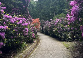 mieszkanie na sprzedaż - Szczawno-Zdrój